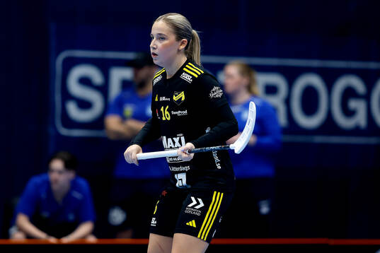 Endres Agnes Plogner