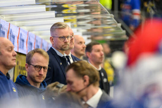HV71s assisterande tränare Johan Davidsson