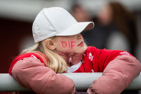 Degerfors supporter