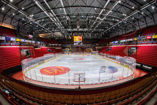 Monitor ERP Arena