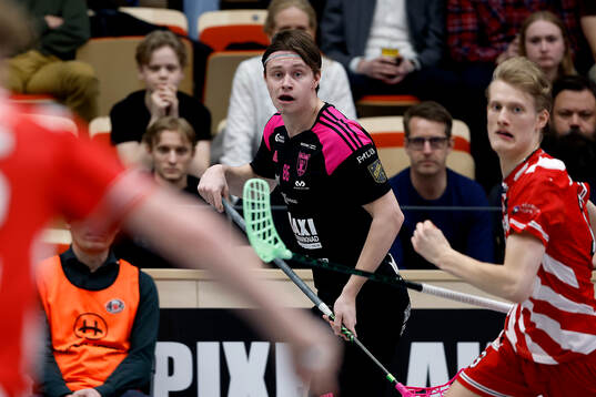 Faluns Emil Ruud
