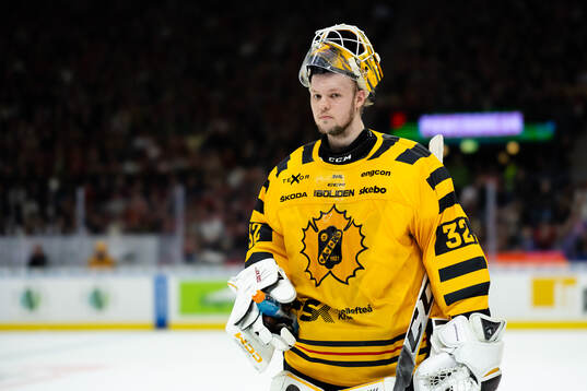 Skellefteås målvakt Linus Söderström