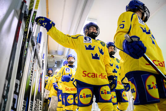 Players of Sweden