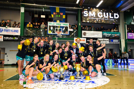 Södertäljes spelare jublar