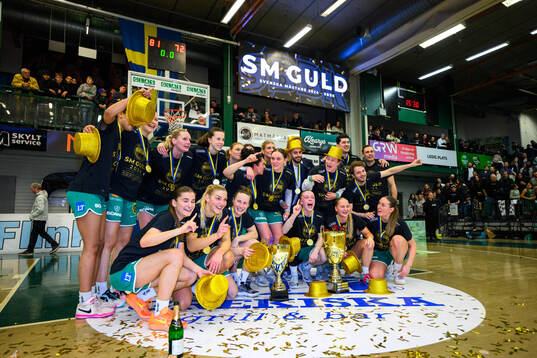 Södertäljes spelare jublar