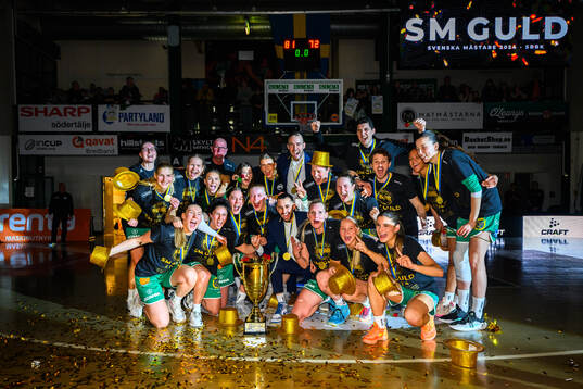 Bläddra bland fler bilder av Basket, SBL Dam, Final 3, Södertälje - Luleå