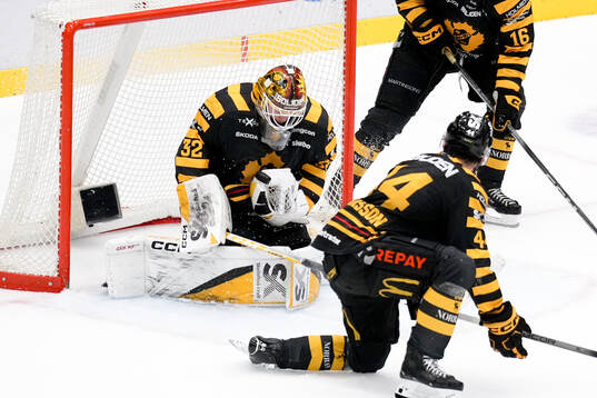 Skellefteås målvakt Linus Söderström
