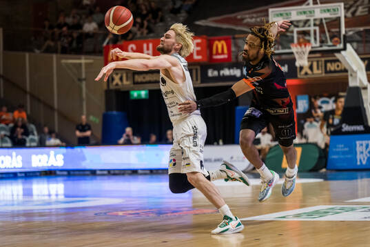 Norrköpings Tim Schuberg och Borås Jarred Godfrey