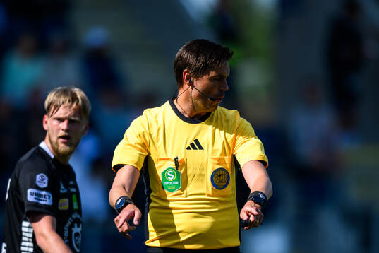 Domare Magnus Lindgren