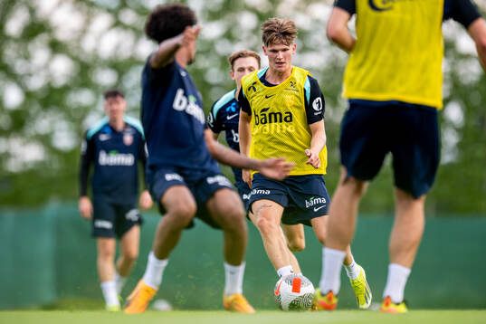 David Møller Wolfe of the Norwegian national football team
