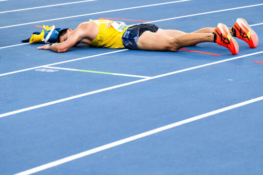 Perseus Karlström of Sweden celebrates
