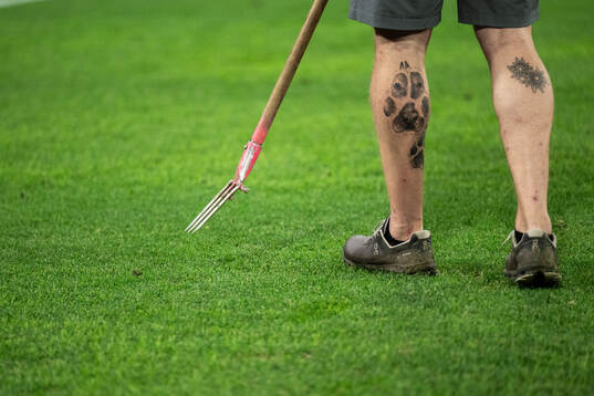 Pitch curator