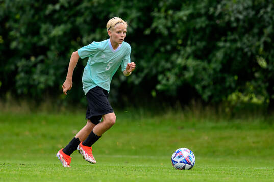 Sixten Floric, Hammarby IF FF