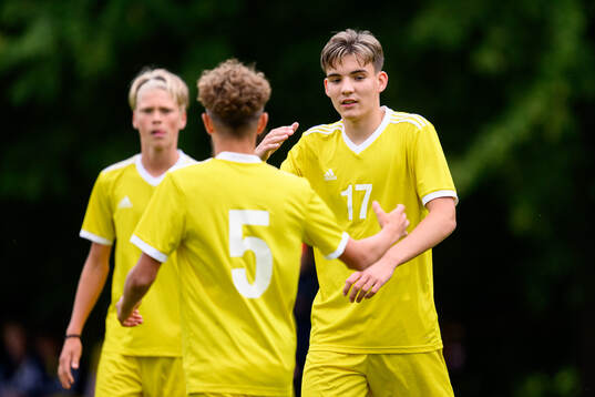 Luka Bolbotinovic, Djurgårdens IF FF jublar