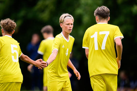 Vincent Kjellme, Hammarby IF FF jublar