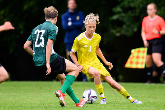 Vincent Kjellme, Hammarby IF FF