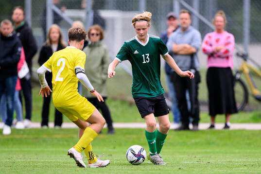 Sam Emanuelsson, Falkenbergs FF
