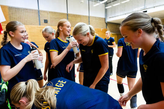 De svenska spelarna