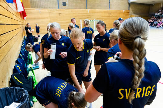 De svenska spelarna