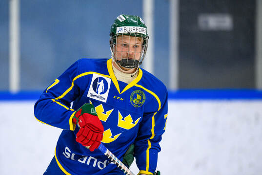 Hjalmar Cilthe of Sweden