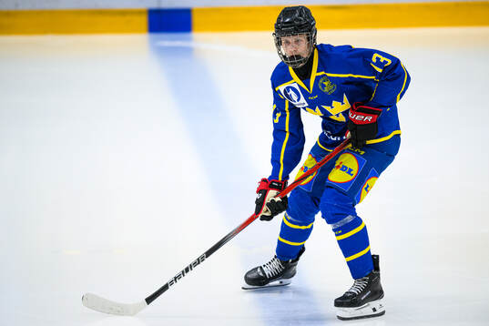 Elton Hermansson of Sweden