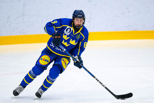Ola Palme of Sweden