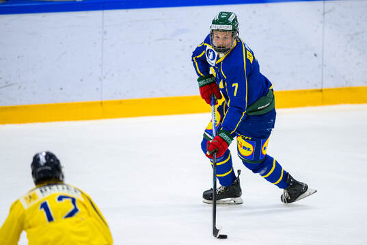 Hjalmar Cilthe of Sweden