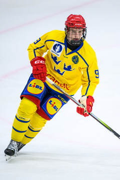 Vilgot Lidén of Sweden