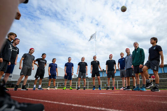 Players of Sweden