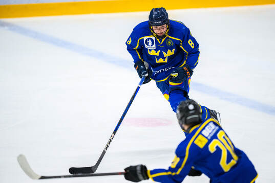 Ola Palme of Sweden
