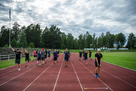 Players of Sweden