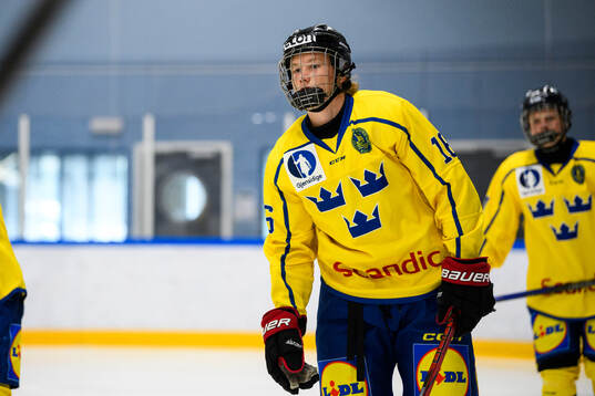 Ludvig Andersson of Sweden