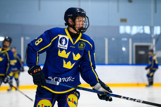 Ola Palme of Sweden