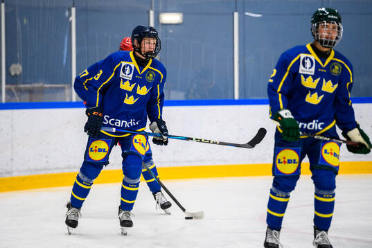 Ola Palme of Sweden