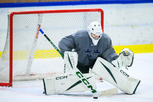 Goaltender Måns Goos of Sweden