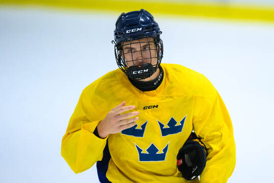 Arvid Drott of Sweden
