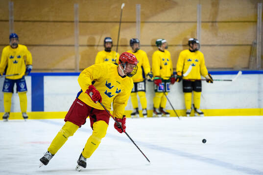 Milton Gästrin of Sweden