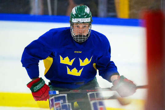 Vilmer Hagelin of Sweden