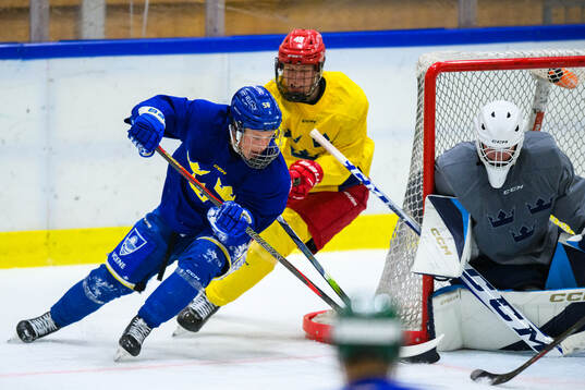 Torkel Jennersjö and goaltender Hugo Servergårdh of Sweden