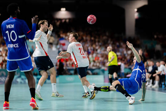 Valentin Porte and Dika Mem of France in a men's