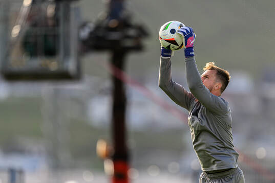 Goalkeeper Ricardo Friedrich of Malmö FF