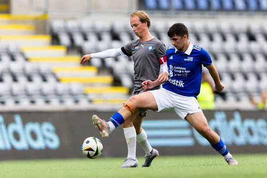 Sleipners Buster Blosse