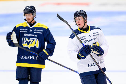 Herman Träff