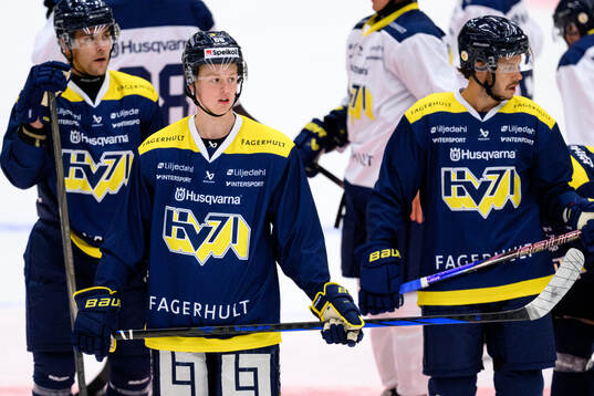Viggo Gustafsson