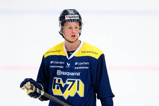 Viggo Gustafsson