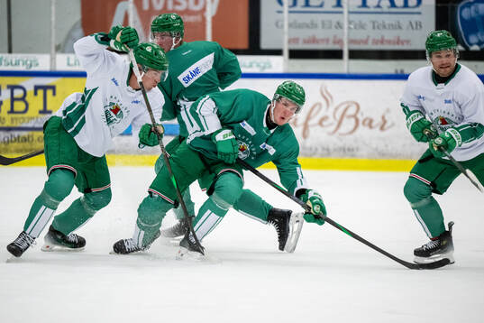 Albin Sundsvik och Mattias Göransson