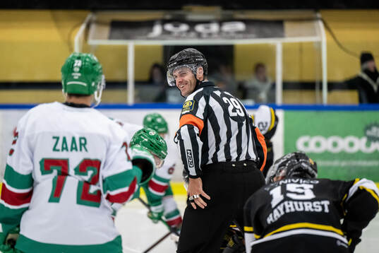 Domare Richard Magnusson