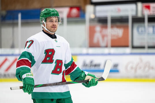 Rögles Leon Bristedt
