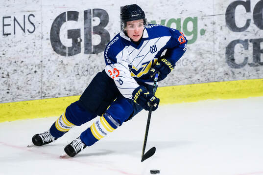 HV71s Wilhelm Hallquisth