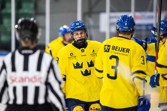 Måns Josbrant of Sweden celebrates the 1-0 goal